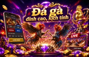 Giao diện sảnh Đá Gà DAGA